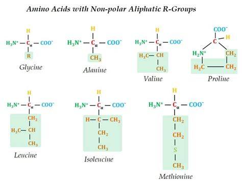 R Acid Structure