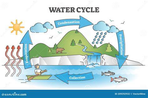 Rain Cycle Diagram
