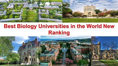 Ranking Of Biology Undergraduate Programs