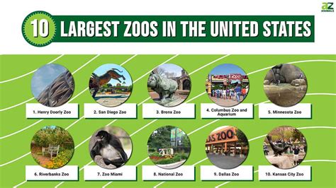 Ranking Of Zoos