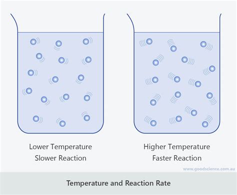 Rate Of Which Reaction Increases With Temperature