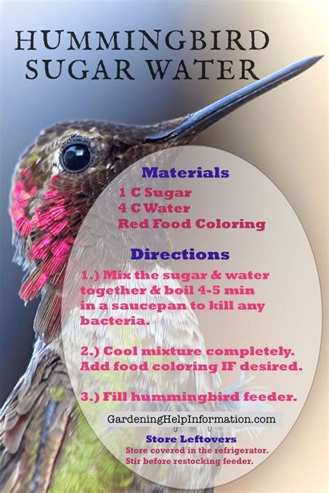 Ratio Of Hummingbird Food