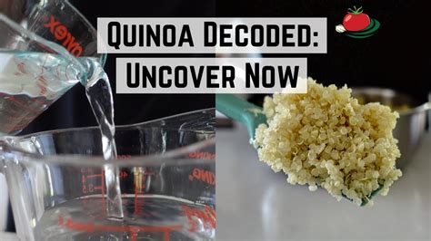 Ratio Of Quinoa To Liquid