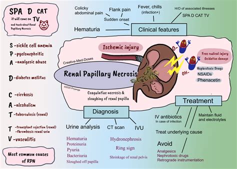 Renal Papillary Necrosis