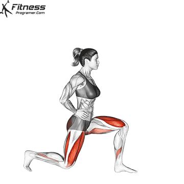 Reverse Lunges Muscles Worked