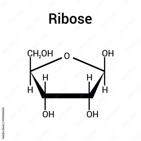Ribose Chemical Structure