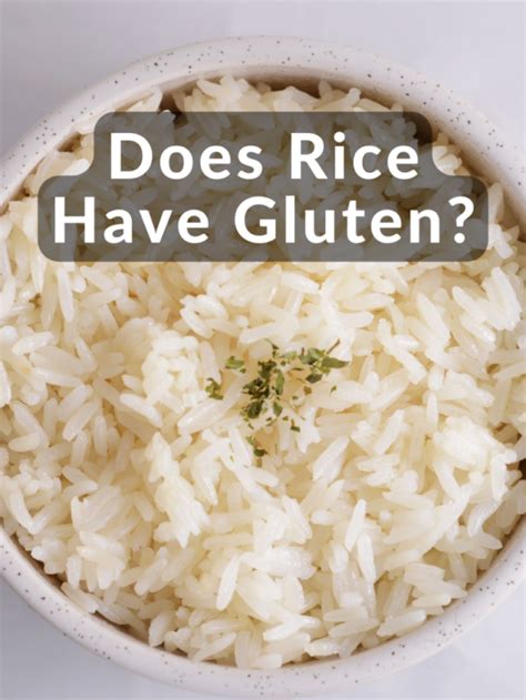 Rice Does It Contain Gluten