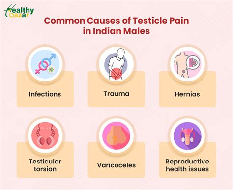 Right Testicle Hurts