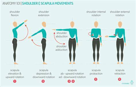 Rom Movements Shoulder