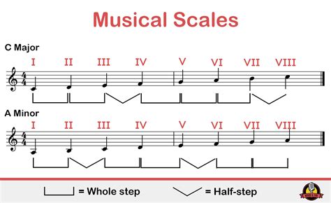 Scale Of Music