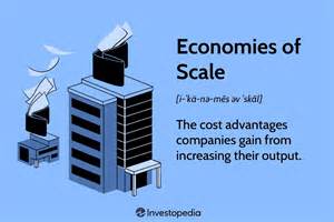 Scale Of Reference In Economics