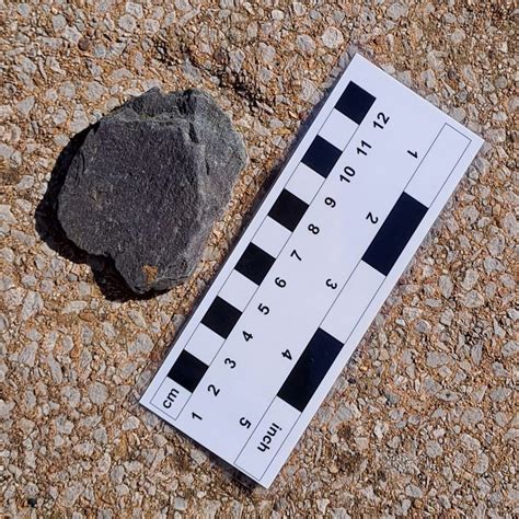 Scale Of Reference