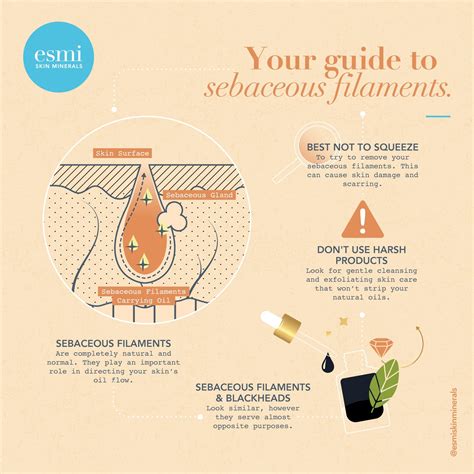Sebaceous Filaments Removal