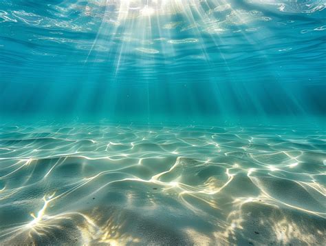 See Through Water Photography