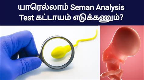 Seman Anlyas Test