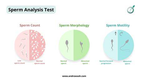 Semen Analysis Test