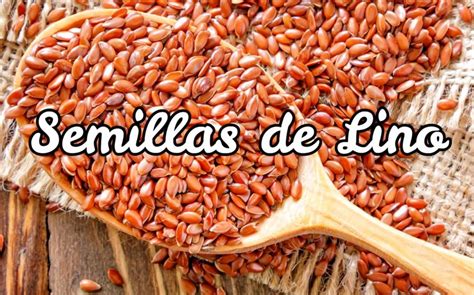 Semillas De Lino