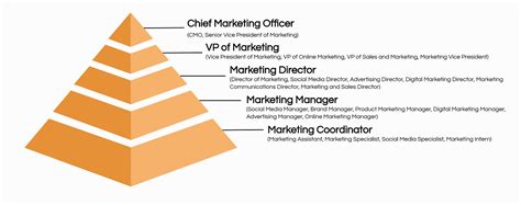 Senior Marketing Job Titles Hierarchy