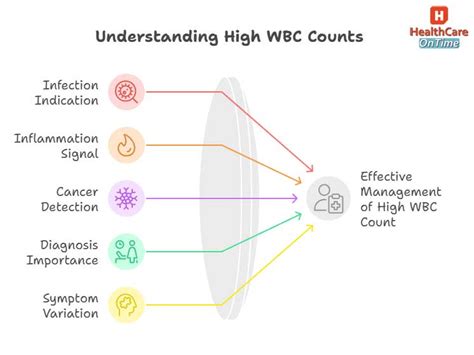 Significance Of High Wbc Count