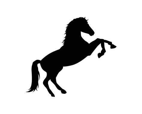 Silhouette Of A Horse