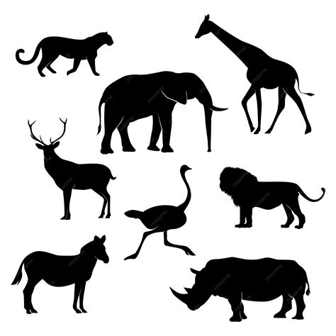 Silhouette Of Animals