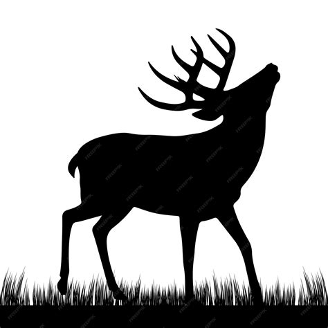 Silhouette Of Deer