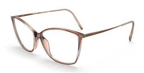Silhouette Of Eyeglasses