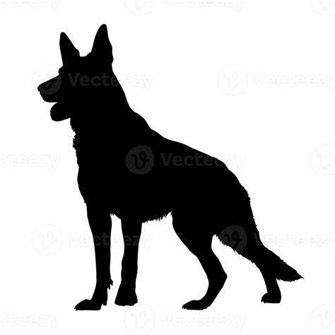 Silhouette Of German Shepherd