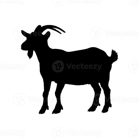 Silhouette Of Goat