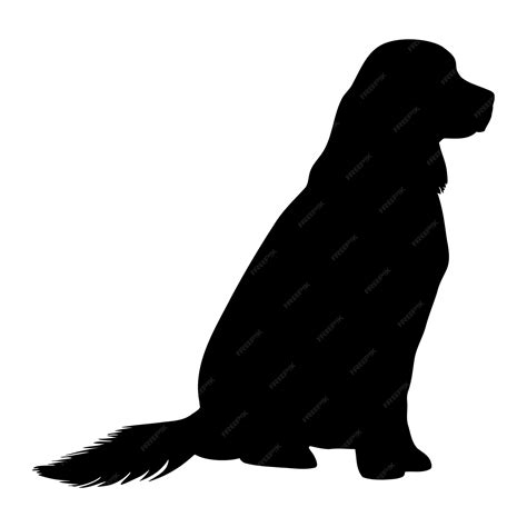 Silhouette Of Golden Retriever