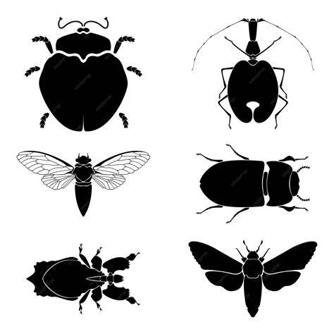 Silhouette Of Insects
