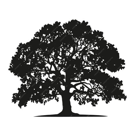 Silhouette Of Oak Tree