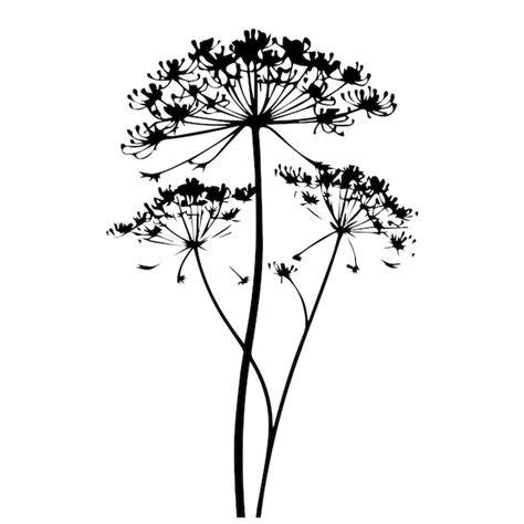 Silhouette Of Queen Anne's Lace