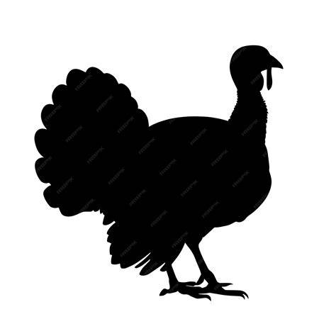 Silhouette Of Turkey