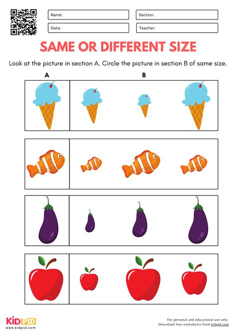 Similar To Vs Same As Kindergarten