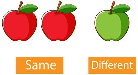 Similar To Vs Same As The Word