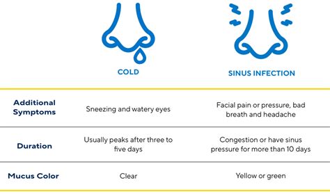 Sinus Cold Symptoms