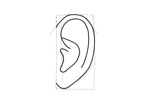 Sketch An Ear