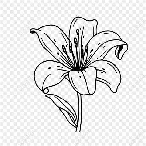 Sketch Drawing Clip Art