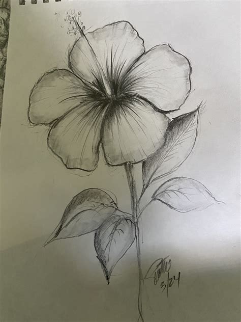 Sketch Of A Flower
