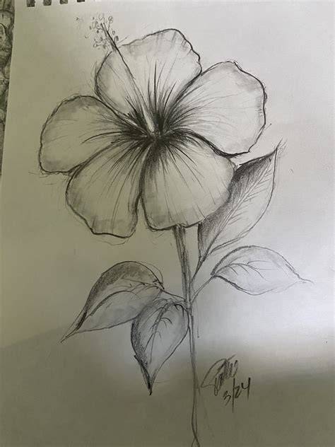 Sketch Of Flower