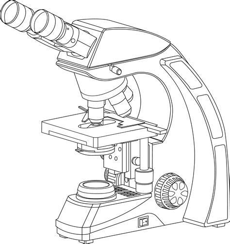 Sketch Of Microscope
