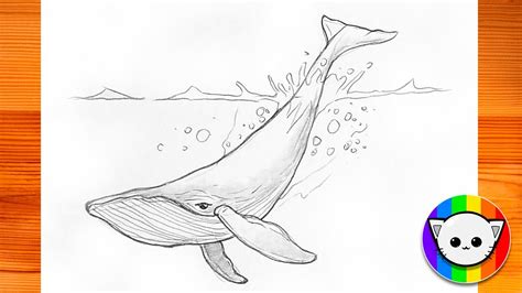 Sketch Of Whale