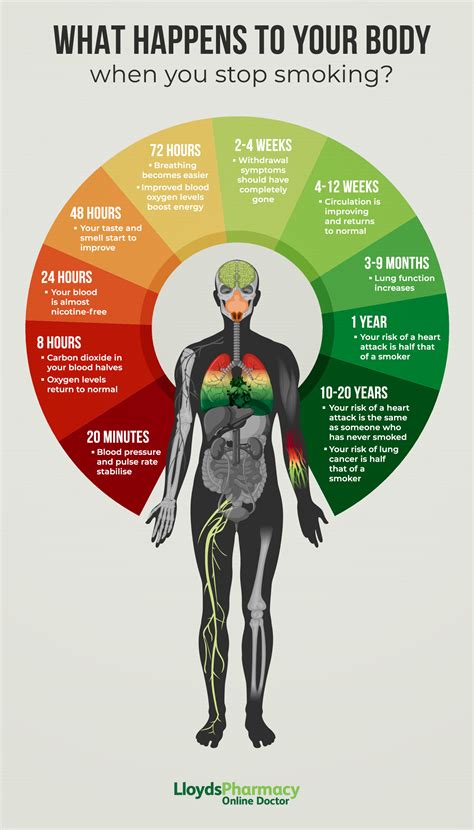 Smoking Weed Does It Affect Gym Gains