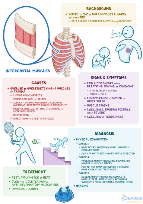 Soreness In Ribs From Coughing
