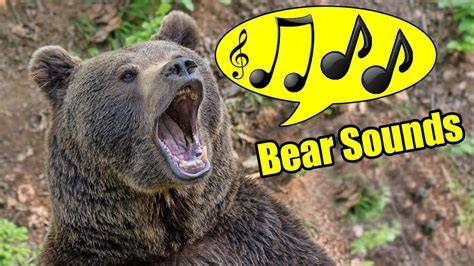 Sound Of Bear Is Called