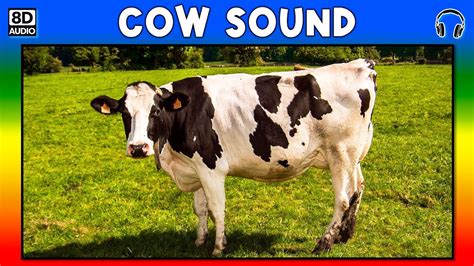 Sound Of Cow