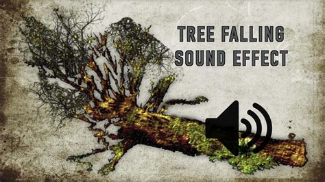 Sound Of Falling