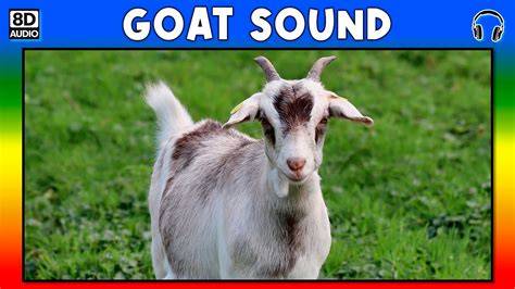 Sound Of Goat