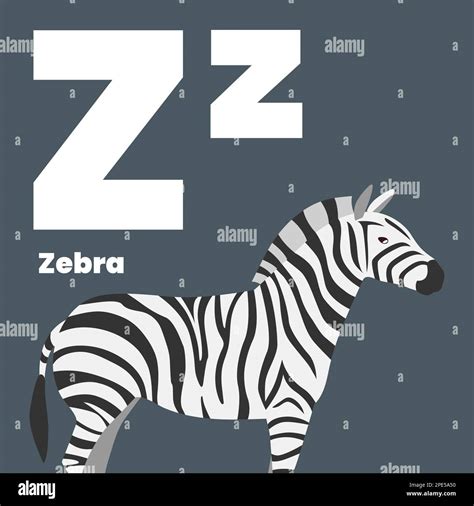 Sound Of Zebra In Words